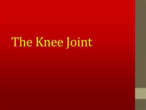 Ppt The Knee Joint Powerpoint Presentation Free Download Id9693184
