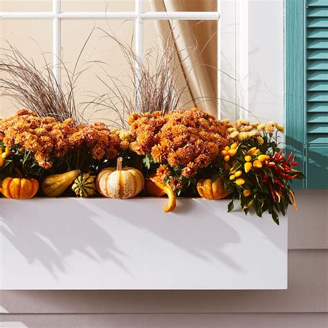 Our Best Tips For Creating Beautiful Fall Window Boxes Fall Window