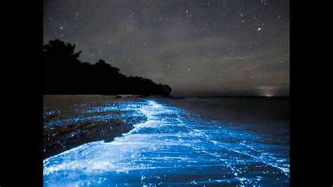 Maldives Beach Looks Like Starry Night Sky Hd 2014 Hd