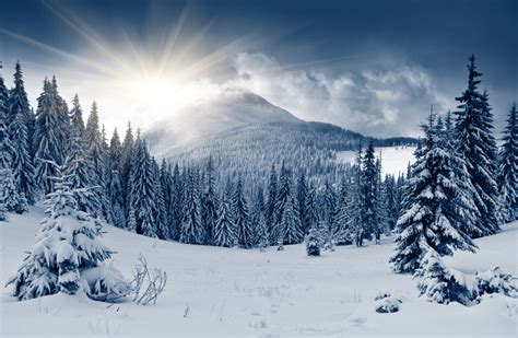 Beautiful Winter Landscape With Snow Covered Trees Custom Mural