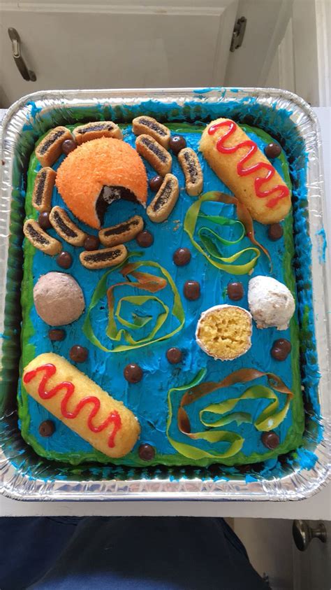 Studying animal and plant cells is a wonderful way for students to understand life at its most basic level. Edible Animal Cell Project … | Pinteres…