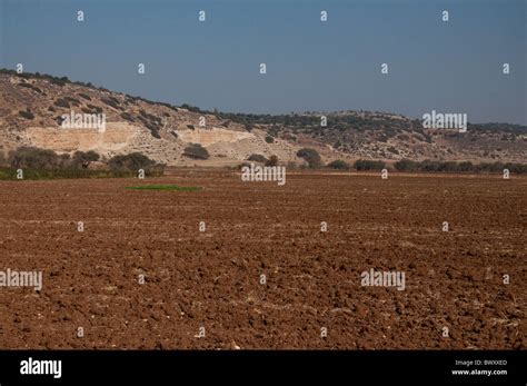 The Valley Of Elah Where David Fought Goliath Stock Photo Alamy
