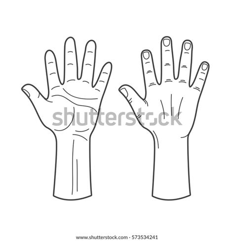 Vector Hands Illustration Black White Human Stock Vector Royalty Free