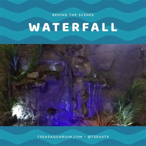 Waterfall Behindthescenes What Can You Expect At 7 Seas Aquarium