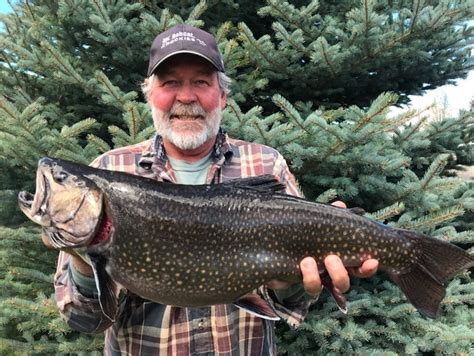 Cpw Announces New State Record Brook Trout Caught At Monarch Lake