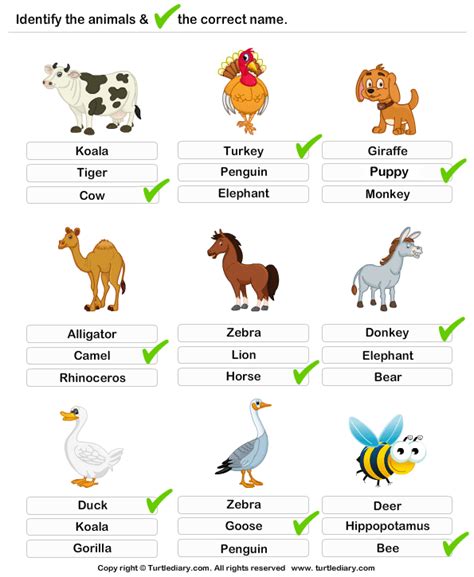 Identify The Farm Animals Animals For Kids Animals