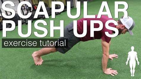 Scap Push Ups Exercise Tutorial Human 20 Youtube