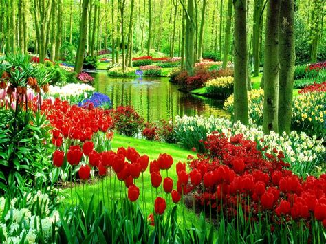 Green Park With Flowers Nature Full Hd Wallpaper Most Beautiful