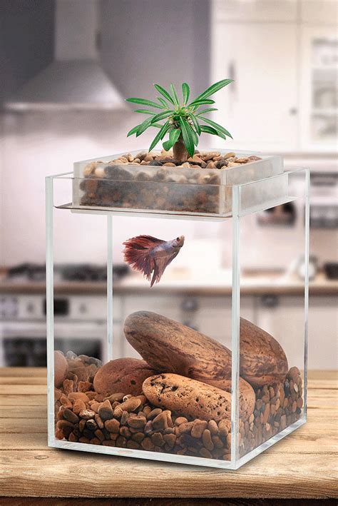 Vita Bring Life Into Your Home Mini Aquarium Aquaponics Fish