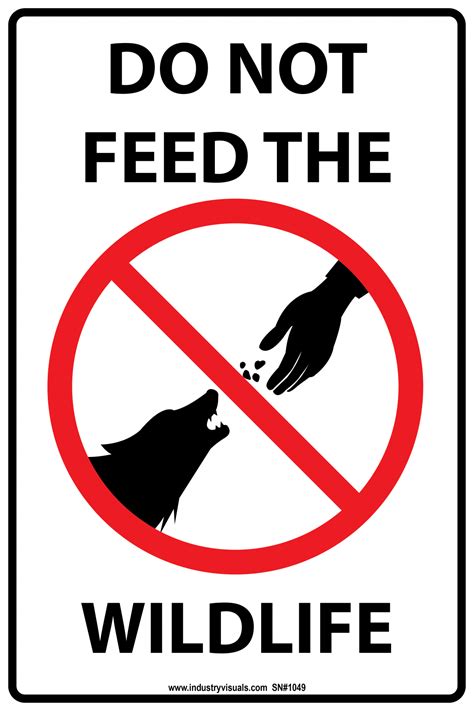 Do Not Feed The Wildlife Industry Visuals