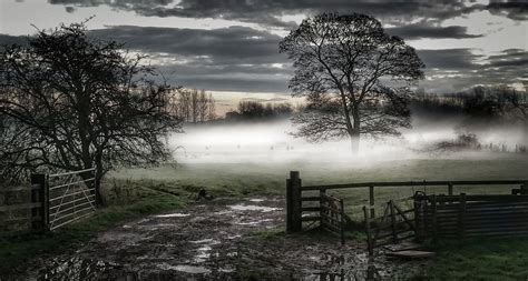Nature Photography Landscape Mist Morning Fence