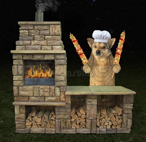 Potato salad, baked beans, cole slaw, how nice of you to offer. Dog With Grilled Meat Near Bbq Grill 2 Stock Image - Image ...