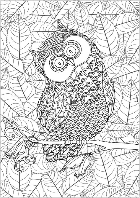 Improves hand to eye coordination, when children are giving pictures to color, they definitely will hold the crayon and from time to time will check what they have done so far, to determine the next color to use. Owl and Leaves in background - Owls Adult Coloring Pages