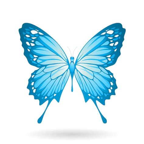 Ilustración de mariposa azul Vector Premium