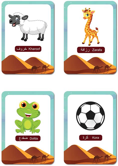 Arabic Alphabet Flash Cards For Kids And Adults 28 Glossy Laminated