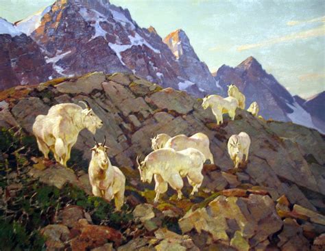 Wildlife Paintings Wildlife Artists Mountain Landscape Painting