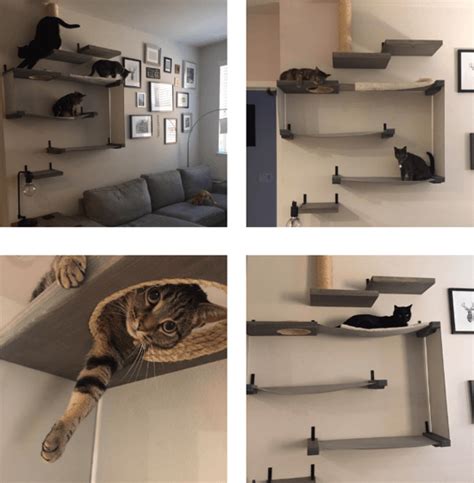 Add fitness to his daily routine to keep fit 💪. Wall Mounted Stairs for Cats: Behind The Scenes Of A ...