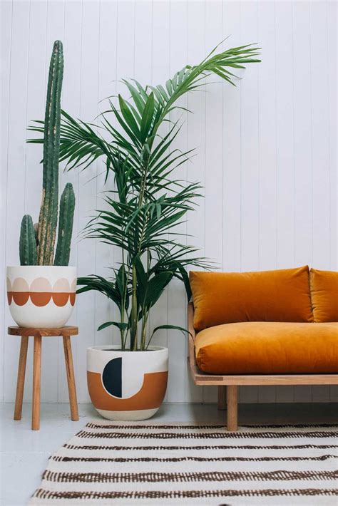 Browse living room decorating ideas and furniture layouts. Plants & interiors | Tasarım iç mekanlar, Home fashion ...