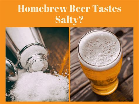 Homebrew Beer Tastes Salty 5 Top Things To Check Or Change Now
