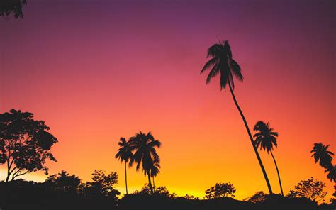 Tropical Sunset 4k Wallpapers 4k Hd Tropical Sunset 4k Backgrounds