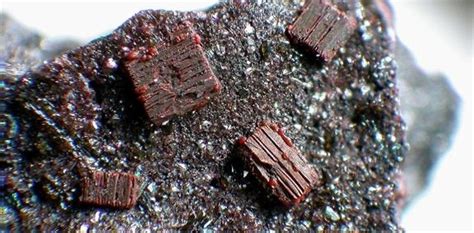 Descubren Una Nueva Forma De Hallar Metales En Tierras Raras El Oro
