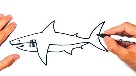 Cómo Dibujar Un Tiburon Paso A Paso Dibujo De Tiburon Youtube