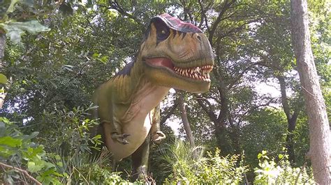 Dinos At The Dallas Zoo 2019 Youtube