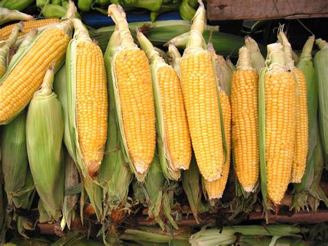 Is Corn Good For You Sunrise Health Foods