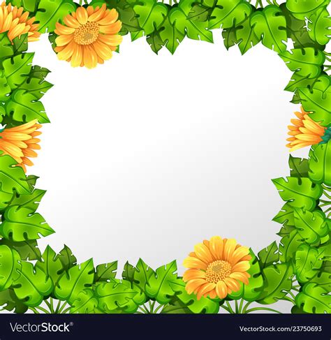 Nature Yellow Flower Border Royalty Free Vector Image
