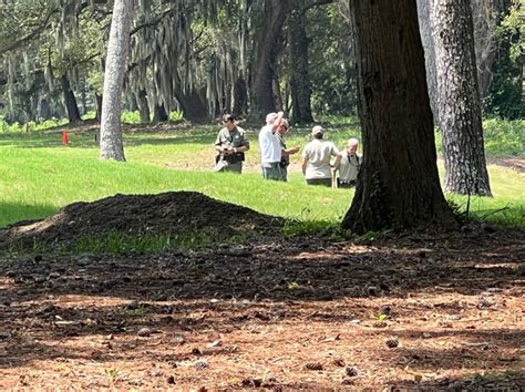 Alligator Kills 69 Year Old South Carolina Woman As She Walked Her Dog