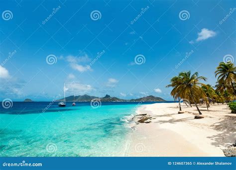 Idyllic Beach At Caribbean Stock Image Image Of Blue 124607365