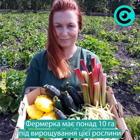 — притула справді отримав травму ока. Суспільне Око - Home | Facebook