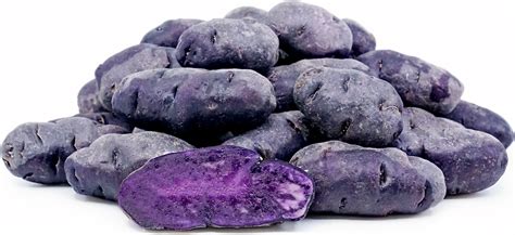 Purple Peruvian Fingerling Potatoes Information Recipes And Facts