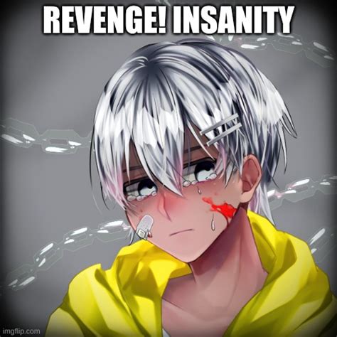 Revenge Imgflip