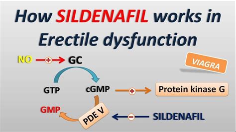 What Are Sildenafil Uses Precautions Side Effect