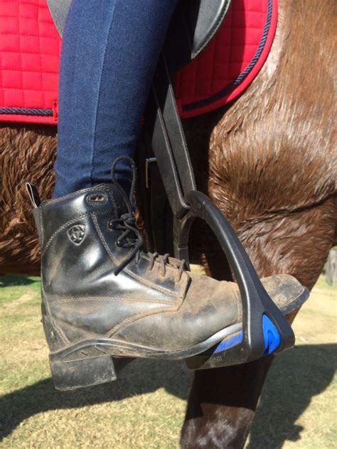 The Best Horse Riding Shoes Chapman Valley Horse Riding
