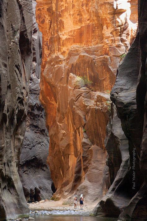 Wall Street Zion Narrows Photograph By Paul Yoder
