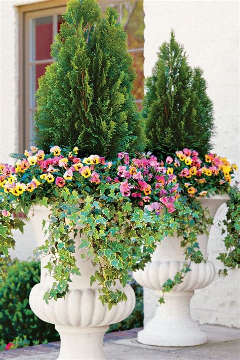 3432 Best Images About Container Garden On Pinterest Window Boxes