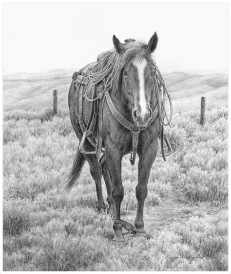 If you like realistic art and working with gradations of color, i hope you will enjoy experimenting with grayscale coloring. 1502 best Coloring Pages - Animal Kingdom images on ...