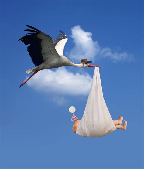 Real Stork Bringing Baby Vlr Eng Br