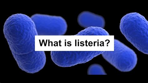 Listeria What Is It Youtube