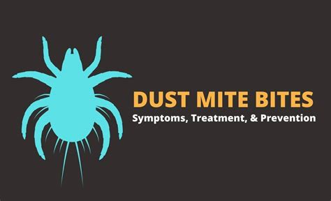 Dust Mite Bites Symptoms Treatment Prevention Resurchify