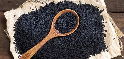 Black sesame seeds (sesamum indicum). Black Seed Oil for Hair Loss - An effective Remedy ...