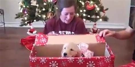 We did not find results for: Watch This Definitive Proof That Puppies Are The World's ...