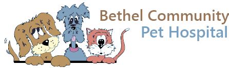 Since 1954, bothell pet hospital has been operating as an independent small animal hospital, providing primary veterinary care to cats and dogs. shutterstock_64451728 - Bethel Community Pet Hospital