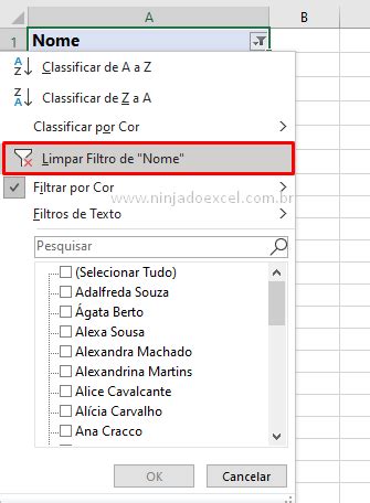 Filtro por Cor no Excel Dica simples e muito útil para seu dia a dia Ninja do Excel