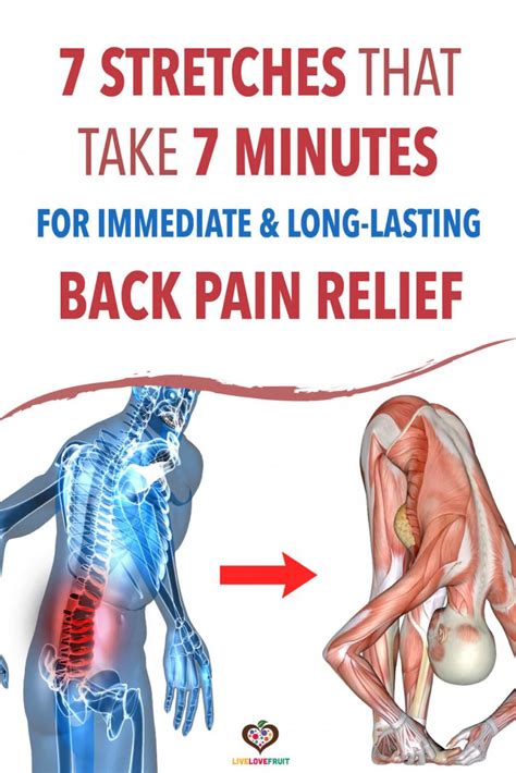How Can You Effectively Alleviate Lower Back Pain At Home Becker Spine