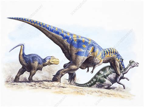Tyrannosaurus Rex Hunting Illustration Stock Image C0367339