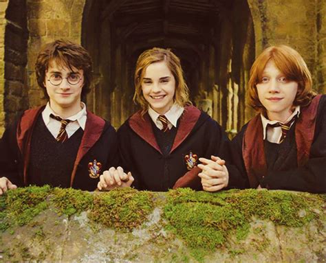 Golden Trio More Harry Potter World Mundo Harry Potter Harry Potter