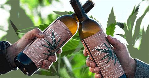 Rebel Coast Winery Launch Cannabis Infused Alcohol Free Wine In Usa Metro News